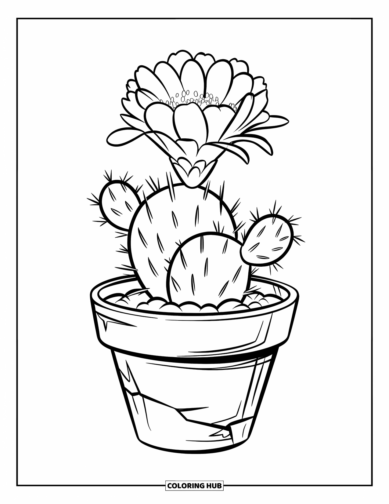 Floral Coloring Page for Kids: A short, round cactus with spines and a blooming flower in a cracked pot