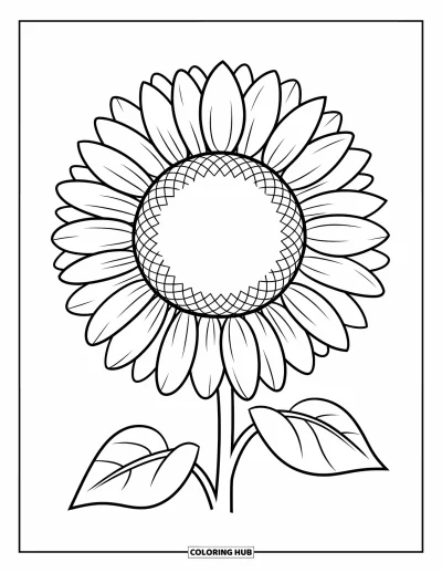 Blomstertegning til børn: En solsikke med en stor midte og tydelige kronblade, nem at farvelægge