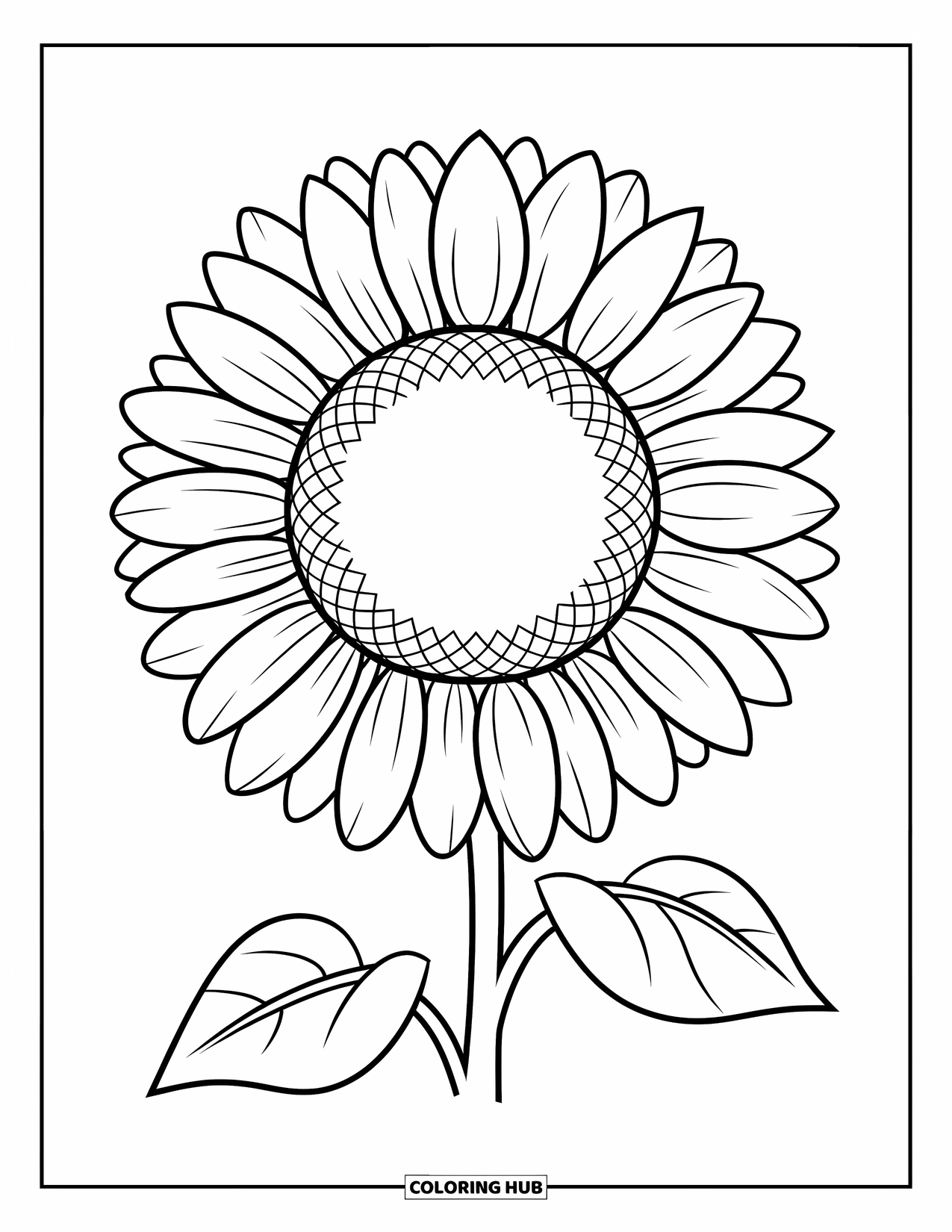 Floral Coloring Page for Kids: A sunflower with a large center and bold petals, easy to color