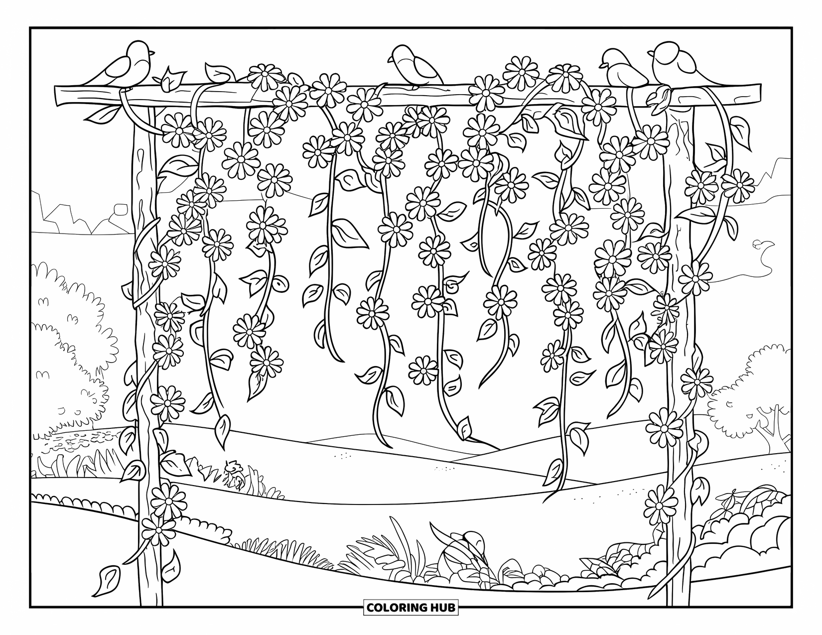 Floral Coloring Page for Kids: Hanging vine floral curtain wrapped around a wooden frame with perched birds