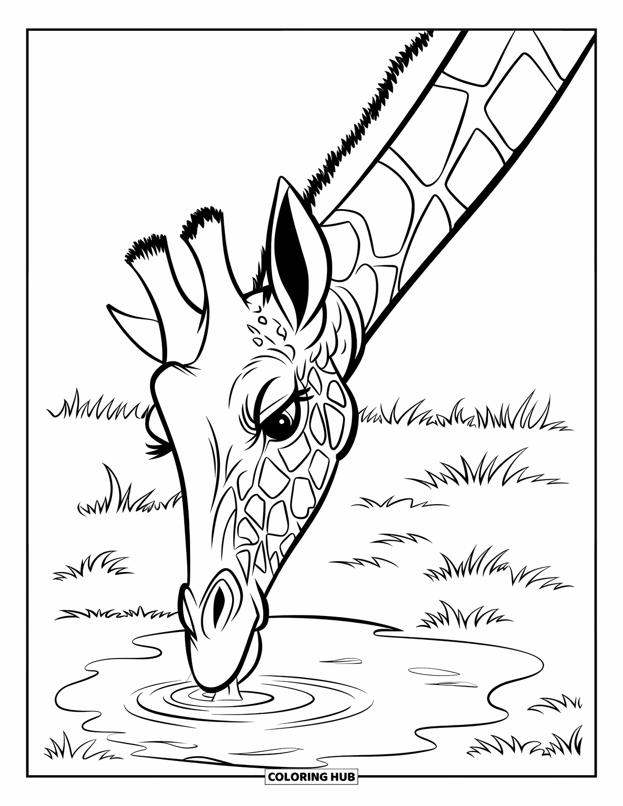 Giraffe Coloring Page for Kids: A giraffe bends its long neck to drink from a rippling puddle