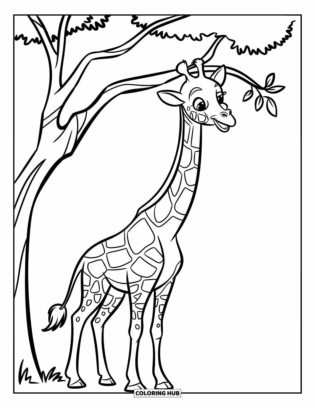 Giraffe Coloring Page for Kids: A giraffe extends its long neck to munch on tree leaves