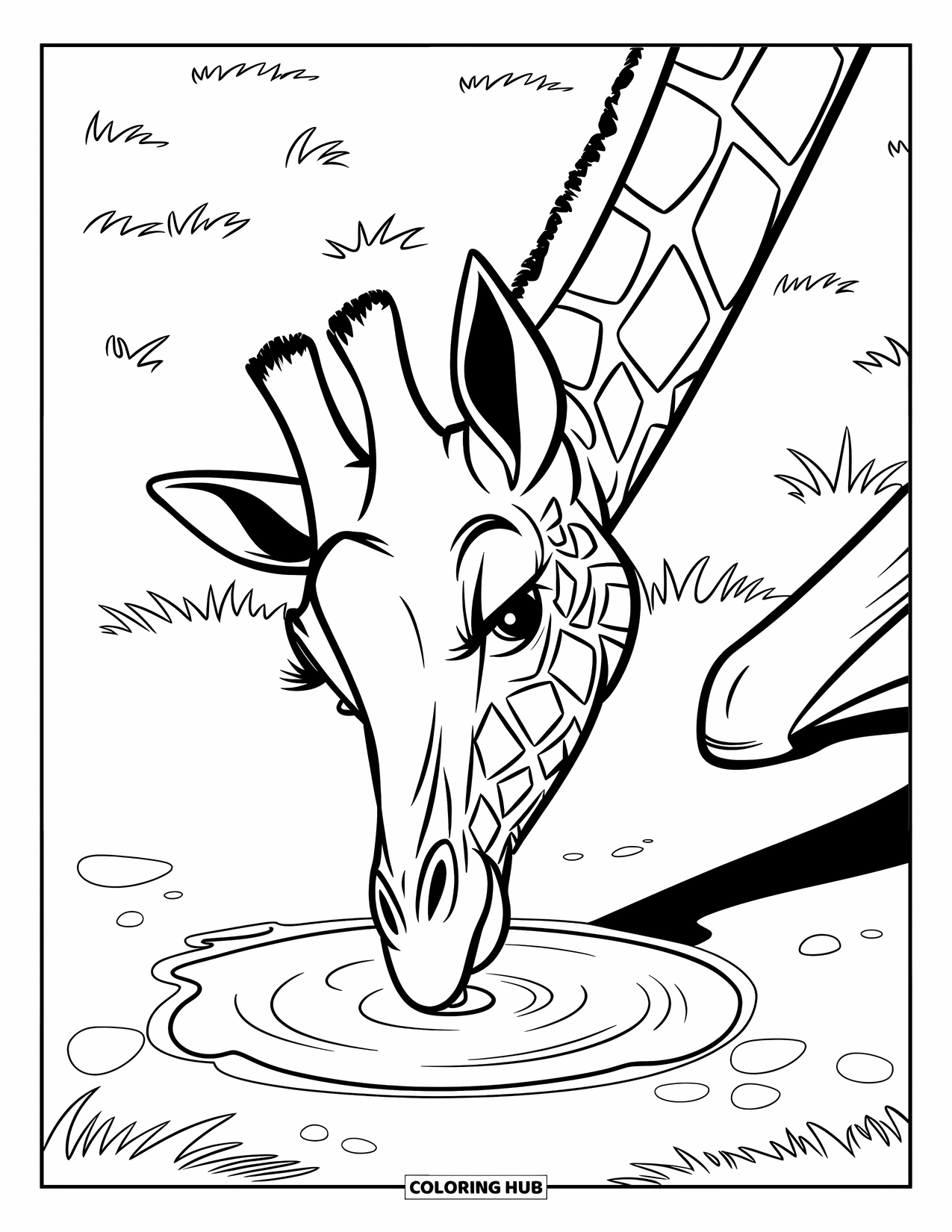 Giraffe Coloring Page for Kids: A giraffe sips water from a small puddle, creating ripples