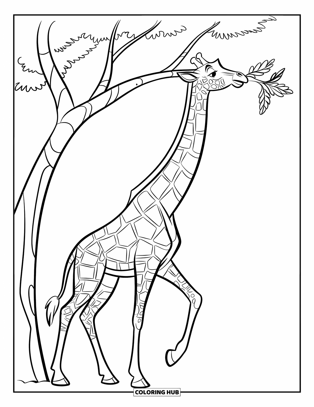 Giraffe Coloring Page for Kids: A giraffe stretches its neck to reach a branch with leaves