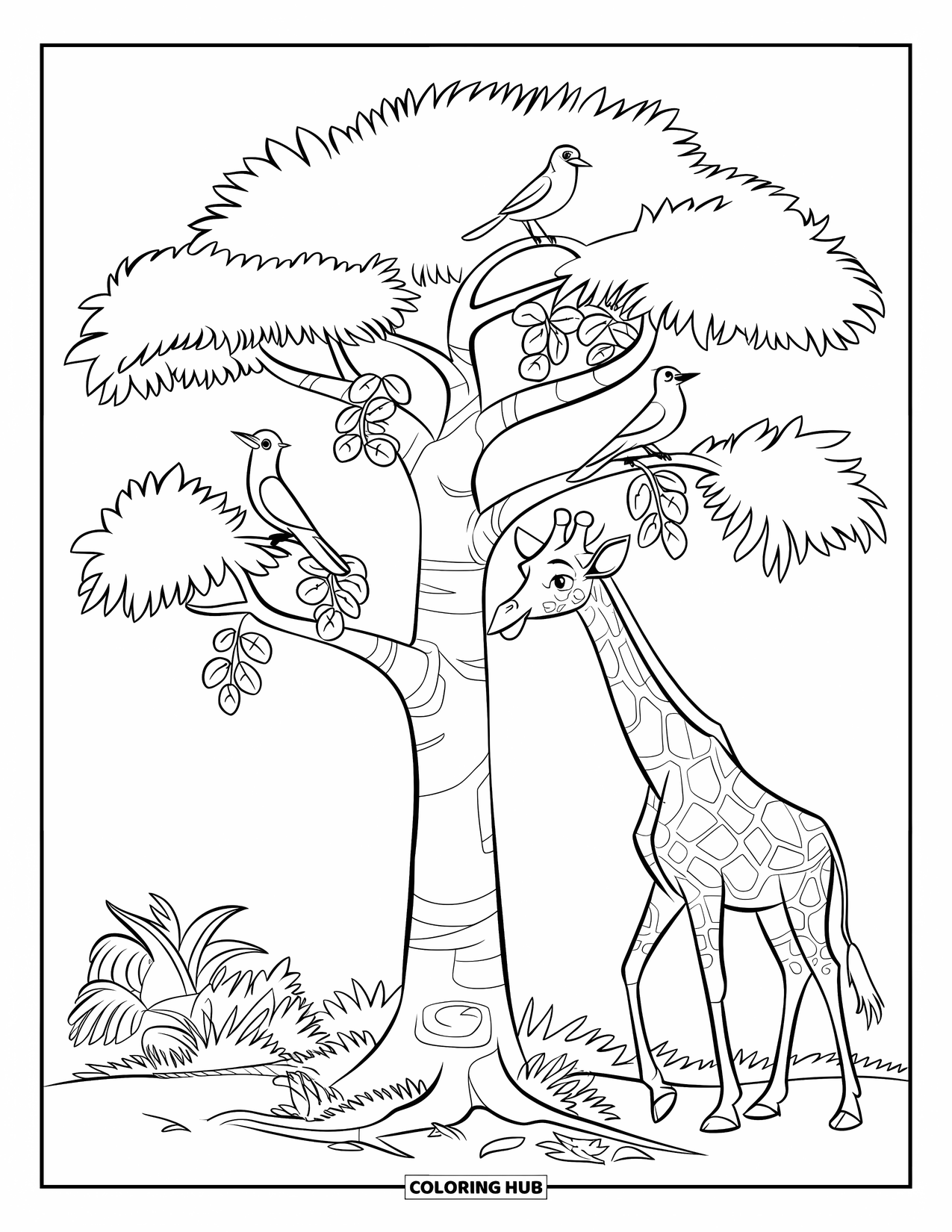 Giraffe Coloring Page for Kids: A tall tree shelters a giraffe as birds perch on its leafy branches