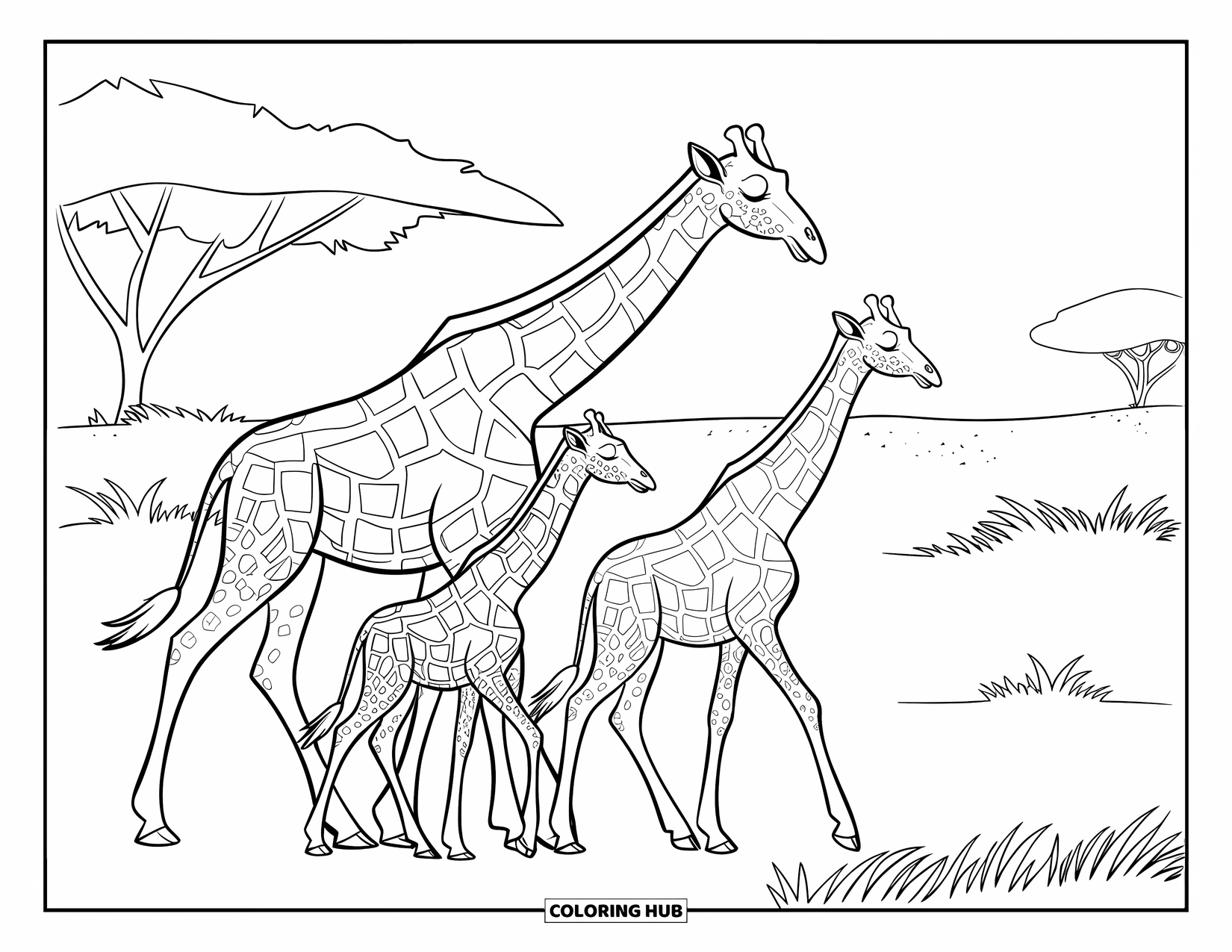 Giraffe Coloring Page for Kids: An adult giraffe and two babies walk through a sunlit savannah with trees