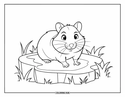 95+ Hamster-Ausmalbilder