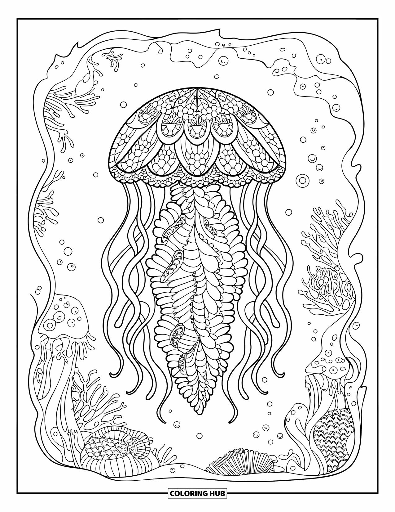 Desenho de água-viva para colorir para adultos: Uma água-viva altamente detalhada com padrões ornamentados flutua em um mundo oceânico sereno