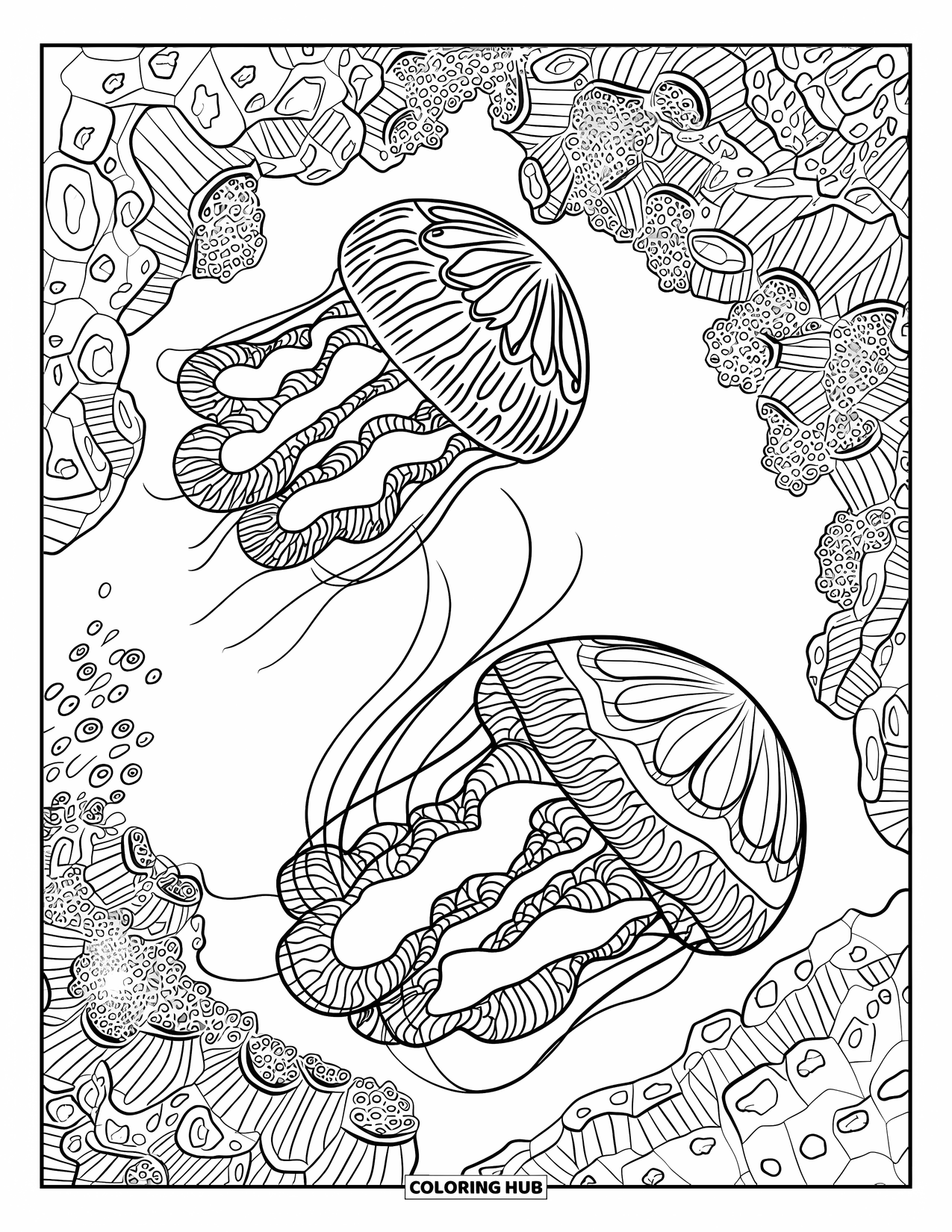 Desenho de água-viva para colorir para adultos: Águas-vivas com padrões elaborados flutuam entre formações de corais espiraladas e texturizadas