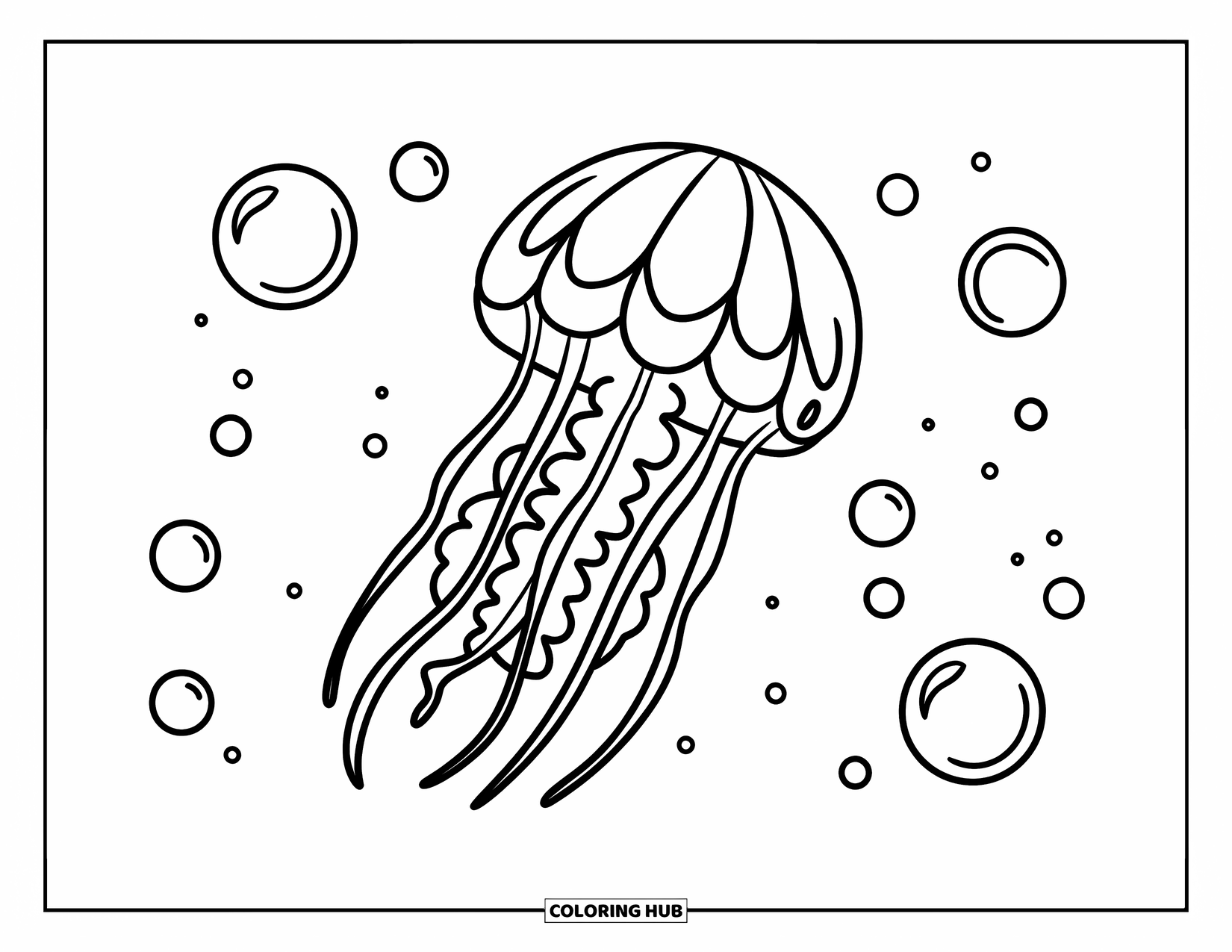 Desenho de água-viva para colorir para crianças: Uma água-viva flutuante com um sino listrado e tentáculos ondulados, acompanhada por pequenas bolhas