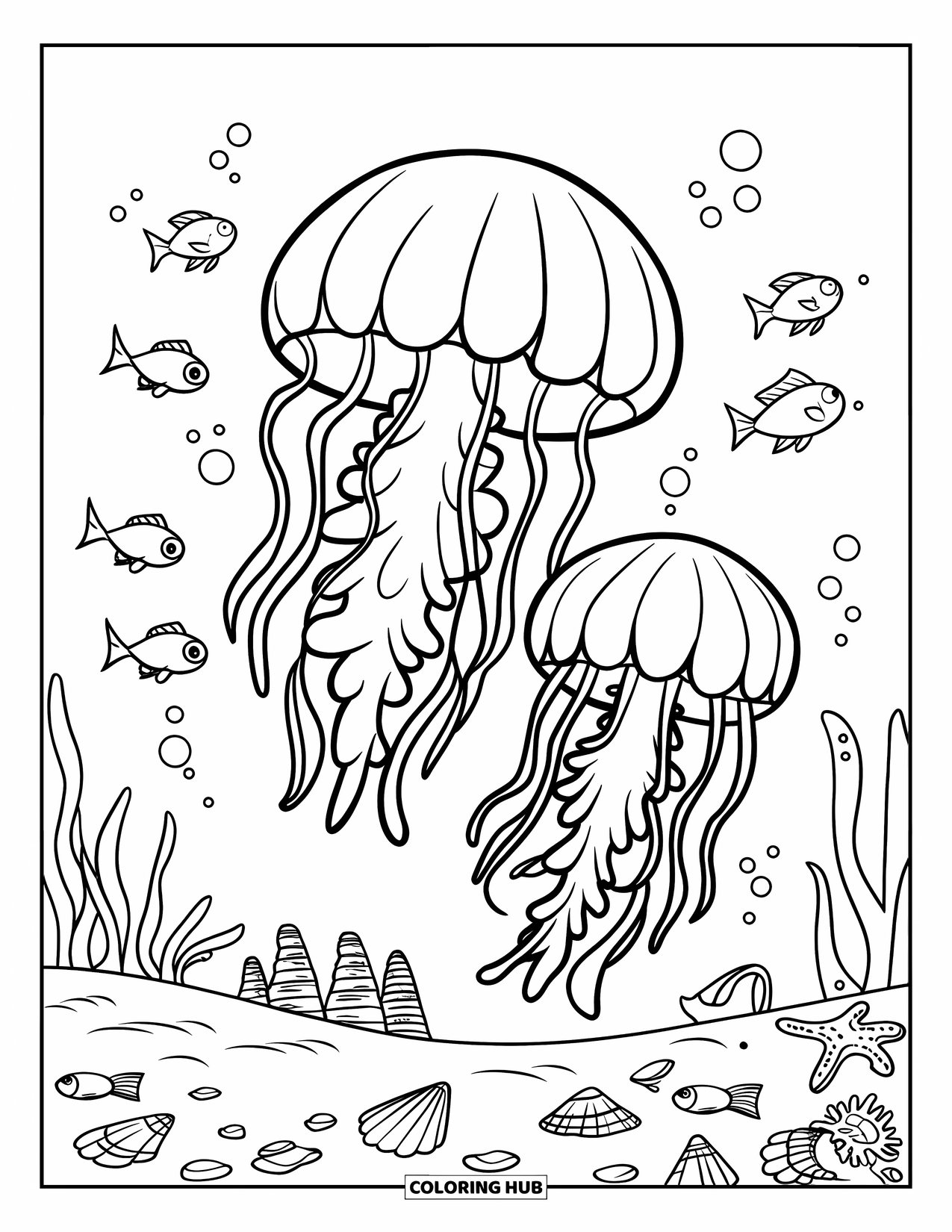 Desenho de água-viva para colorir para crianças: Uma água-viva e seu bebê flutuam suavemente acima de um fundo do mar repleto de conchas