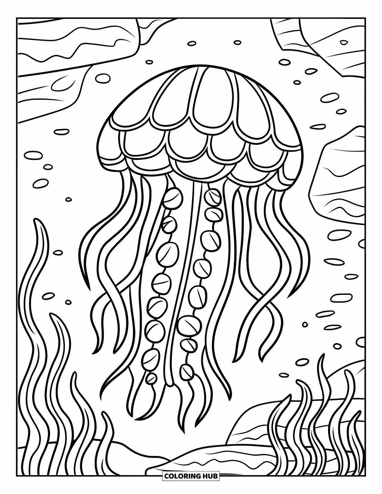 Desenho de água-viva para colorir para crianças: Uma água-viva com um sino estampado flutua acima de rochas subaquáticas e algas marinhas ondulantes