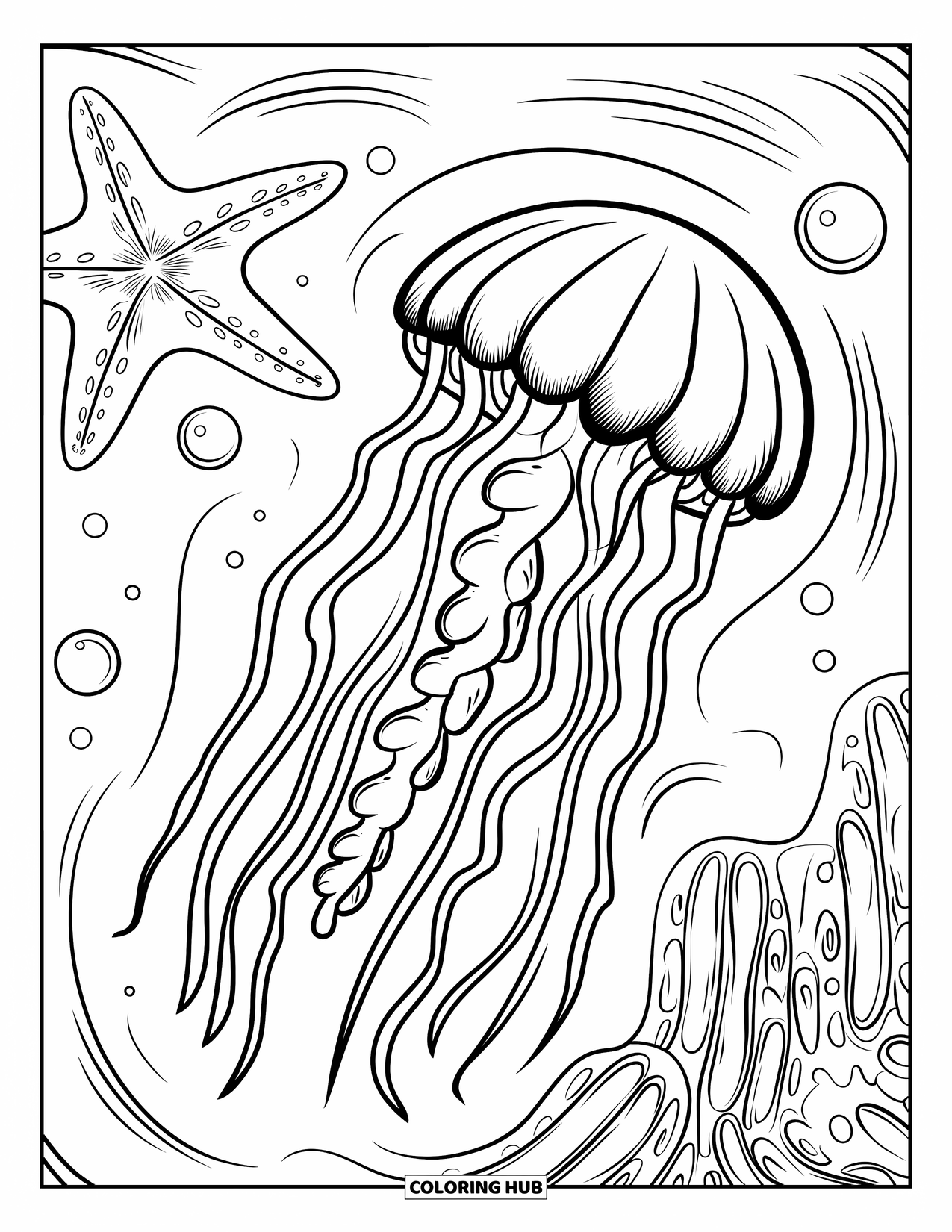 Desenho de água-viva para colorir para crianças: Uma água-viva com um corpo estampado e tentáculos longos e ondulados flutua perto de uma estrela-do-mar