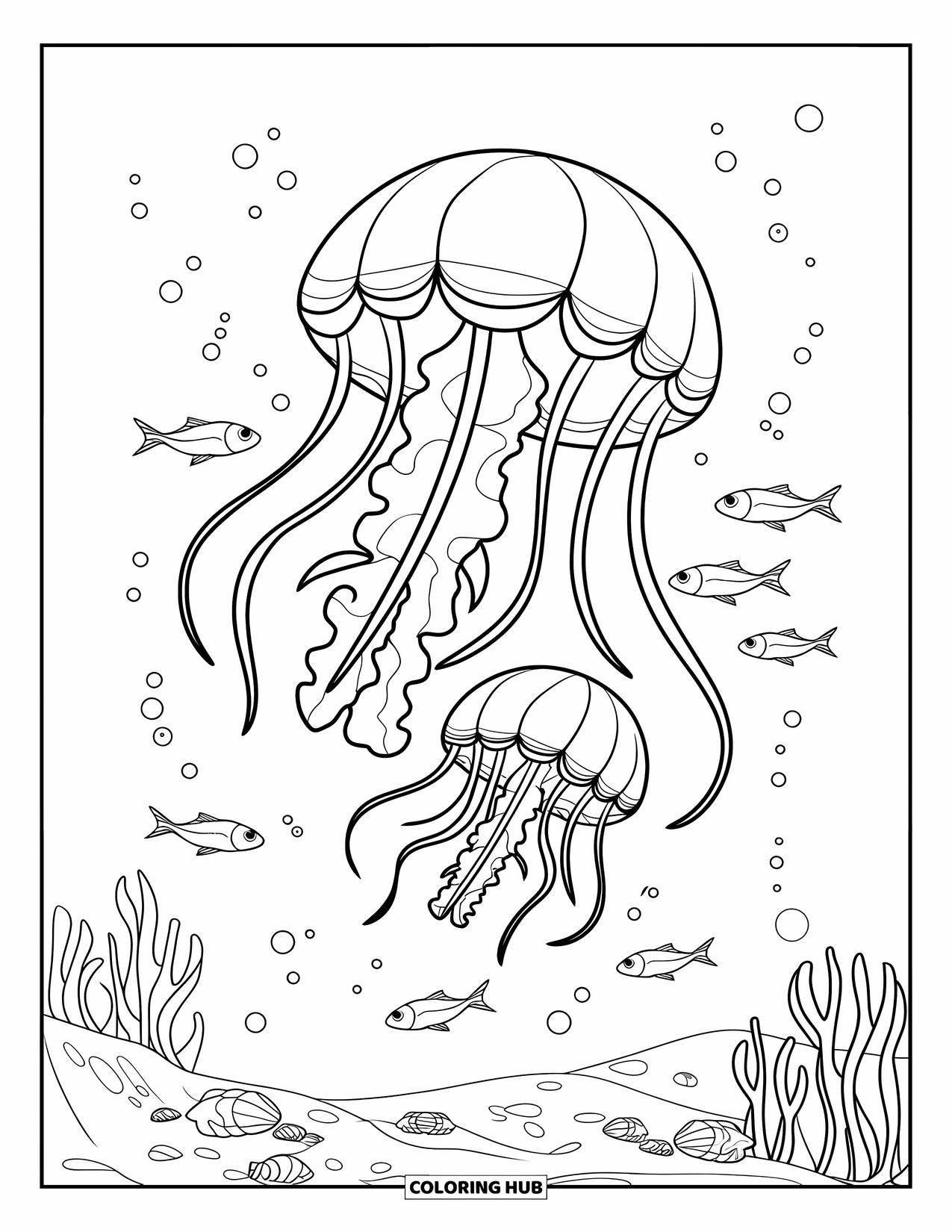 Desenho de água-viva para colorir para crianças: Duas águas-vivas deslizam pela água, com pequenos peixes nadando ao redor delas