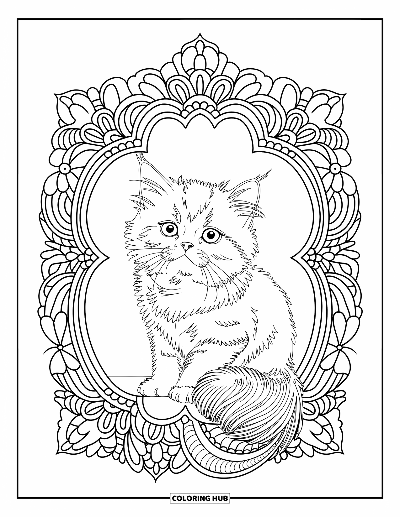Kitten Coloring Page for Adults: A Persian kitten sits elegantly inside a floral frame filled with mandala-style flowers
