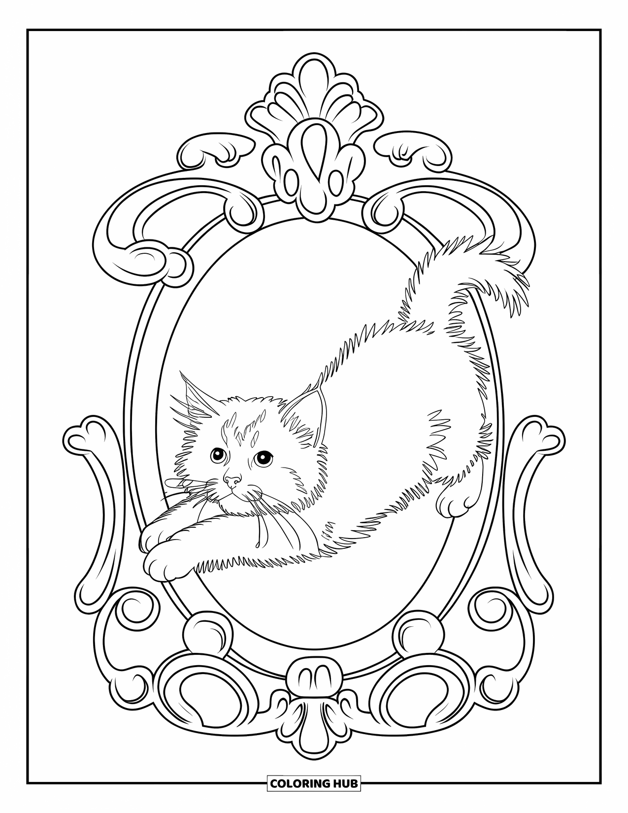 Kitten Coloring Page for Adults: A Ragdoll kitten stretches inside a baroque mirror frame, its reflection blending with ornate swirls