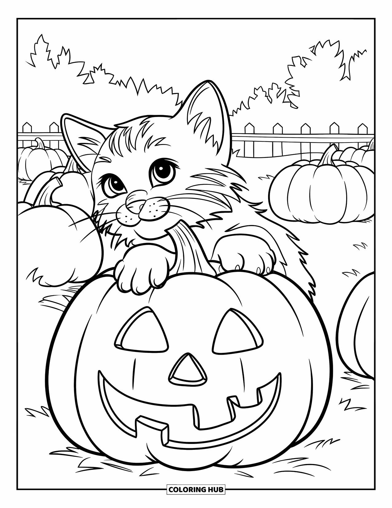 Kitten Coloring Page for Kids: A fluffy kitten explores a pumpkin patch, playfully touching a glowing jack-o'-lantern