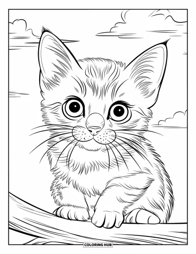 Desen de colorat cu pisicuțe pentru copii: Un pisoi Scottish Fold pufos se odihnește pe iarbă, urmărind fluturii cu ochi curioși