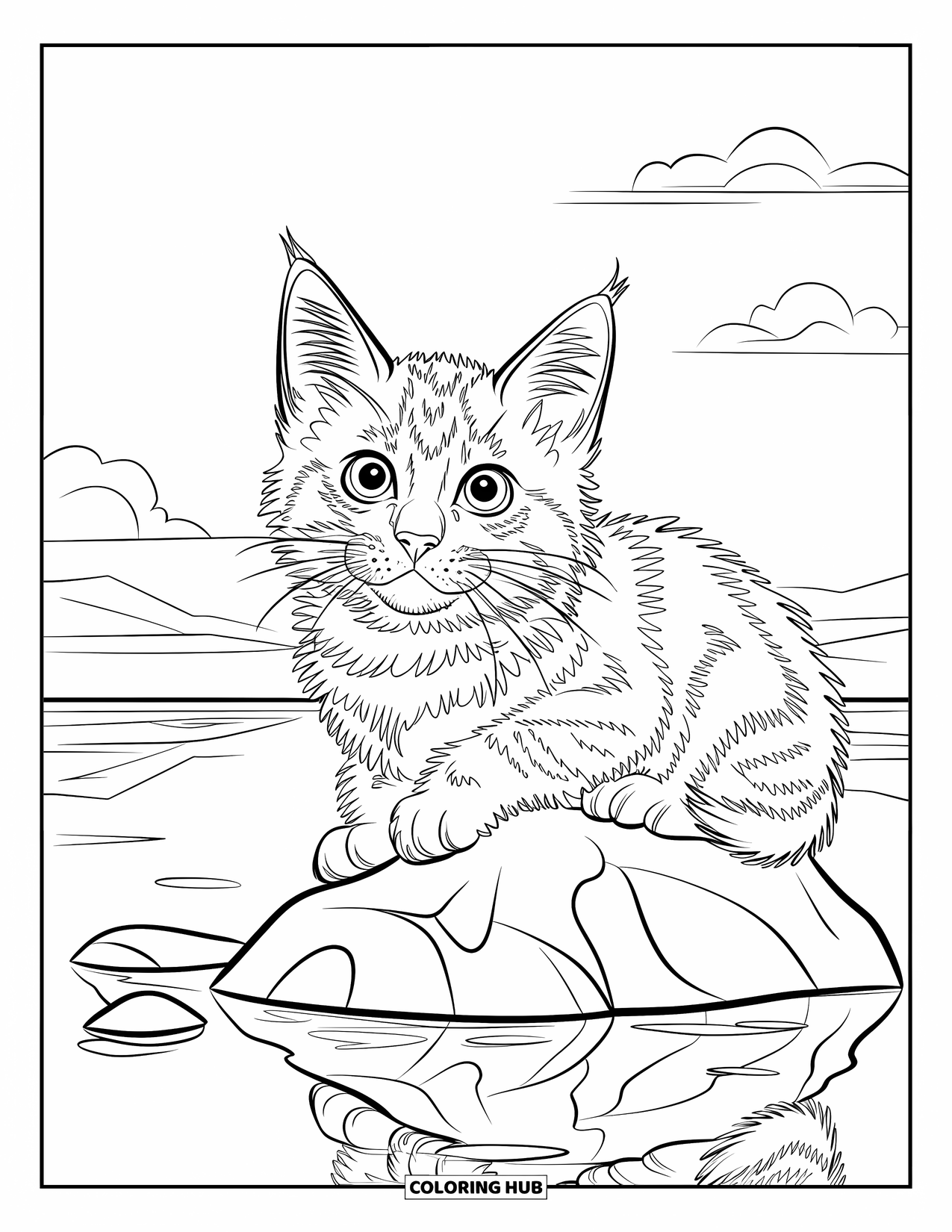 Kitten Coloring Page for Kids: A Maine Coon kitten sits on a rock, its fluffy fur ruffled by the gentle forest breeze