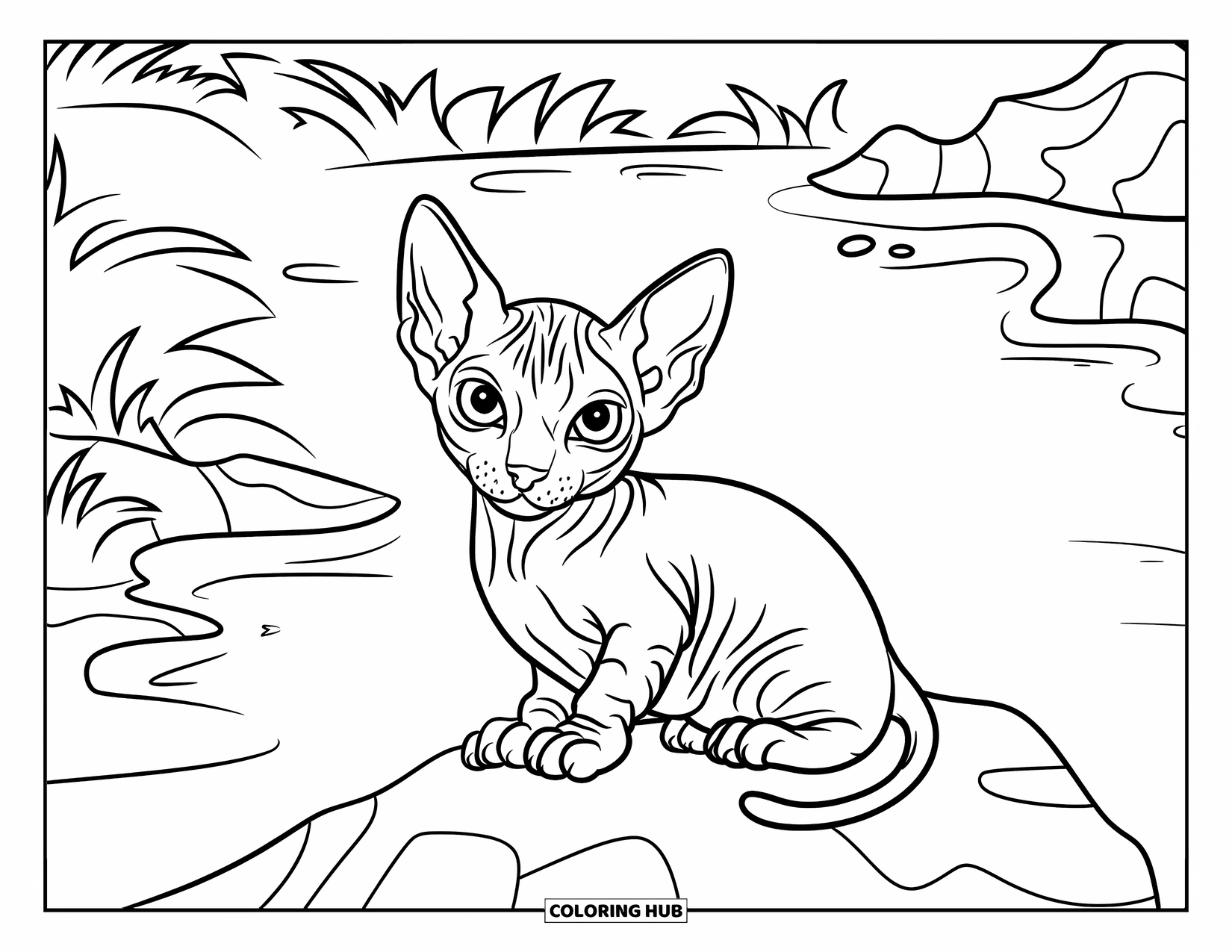 Kitten Coloring Page for Kids: A Sphynx kitten sits on a rock near a peaceful body of water, gazing at its reflection
