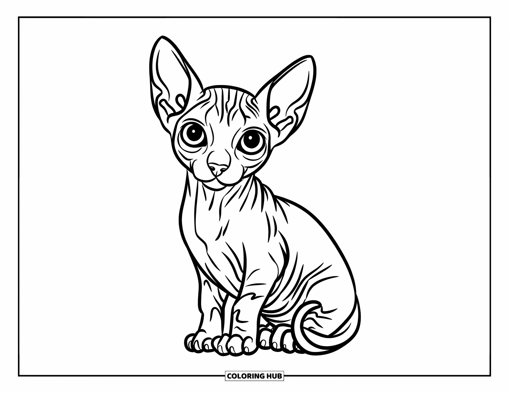 Kitten Coloring Page for Kids: A Sphynx kitten with wrinkled skin sits curiously on a rock, plants and water in the distance