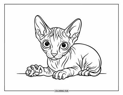 Desen de colorat cu pisicuțe pentru copii: Un pisoi Sphynx mic stă pe o piatră, privind cerul cu ochi mari și curioși