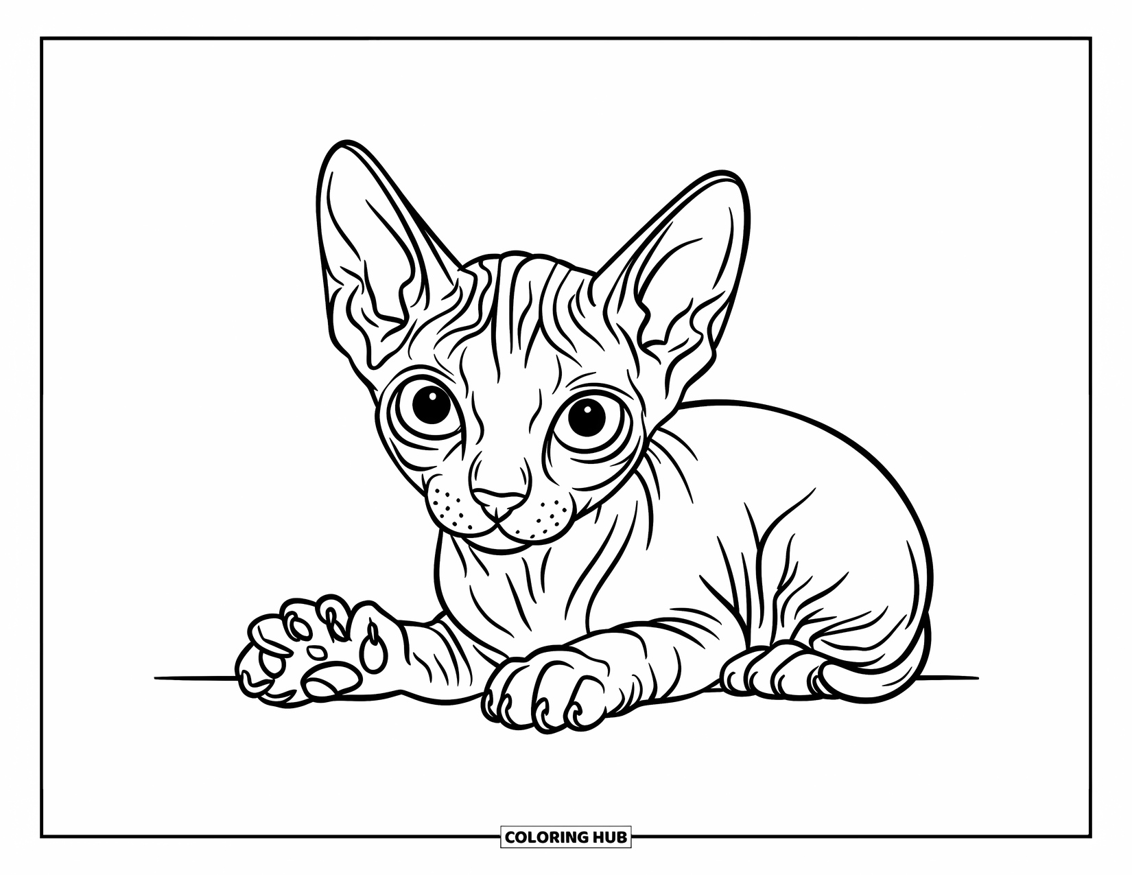 Kitten Coloring Page for Kids: A tiny Sphynx kitten sits on a stone, looking up at the sky with curious wide eyes