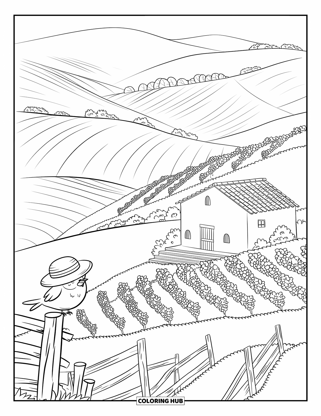 Nature Coloring Page for Adults: Rolling hills of Tuscany with vineyards, a round farmhouse, and a tiny bird in a straw hat