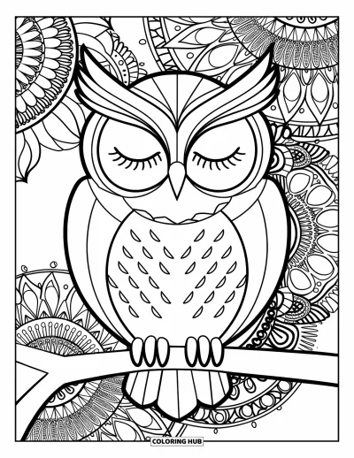 Dibujo de búhos para colorear para adultos: Un búho tranquilo posado en una rama, rodeado de intrincados patrones de mandala