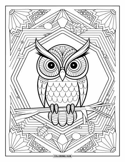 Dibujo de búhos para colorear para adultos: Un rostro de búho detallado en un marco geométrico, posado en una rama con patrones intrincados al fondo