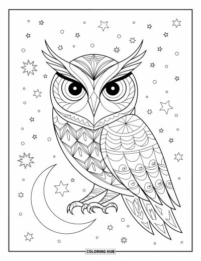Dibujo de búhos para colorear para adultos: Un búho místico con patrones geométricos en las plumas, rodeado de estrellas y una luna creciente