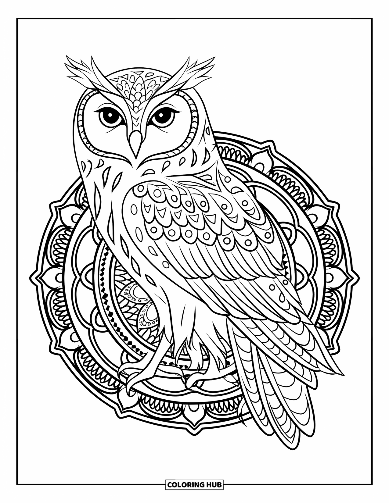 Owl Coloring Page for Adults: An owl perched on a mandala with detailed wings and tail, surrounded by intricate patterns