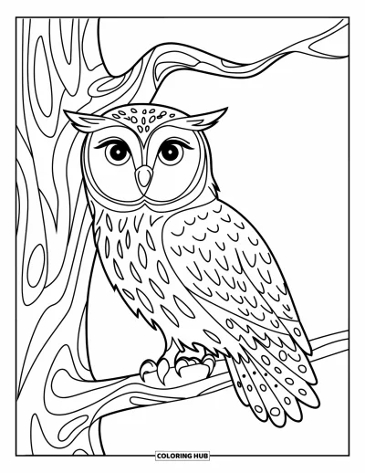 Dibujo de búhos para colorear para adultos: Un búho posado sobre un tronco con patrón en espiral, con fondo limpio