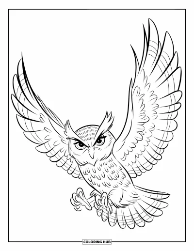 Dibujo de búhos para colorear para niños: Un búho expresivo con las alas desplegadas, posado sobre un fondo sencillo
