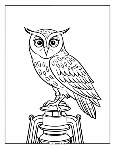 Dibujo de búhos para colorear para niños: Un búho posado sobre un farol antiguo, con ojos grandes y detalles elaborados en el farol