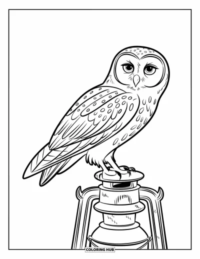 Dibujo de búhos para colorear para niños: Un búho posado sobre un farol antiguo, con ojos muy abiertos y textura envejecida en el farol