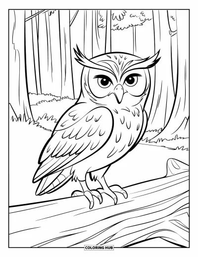 Dibujo de búhos para colorear para niños: Un búho de pie sobre un tronco en un bosque denso, con contornos de plumas claros y árboles