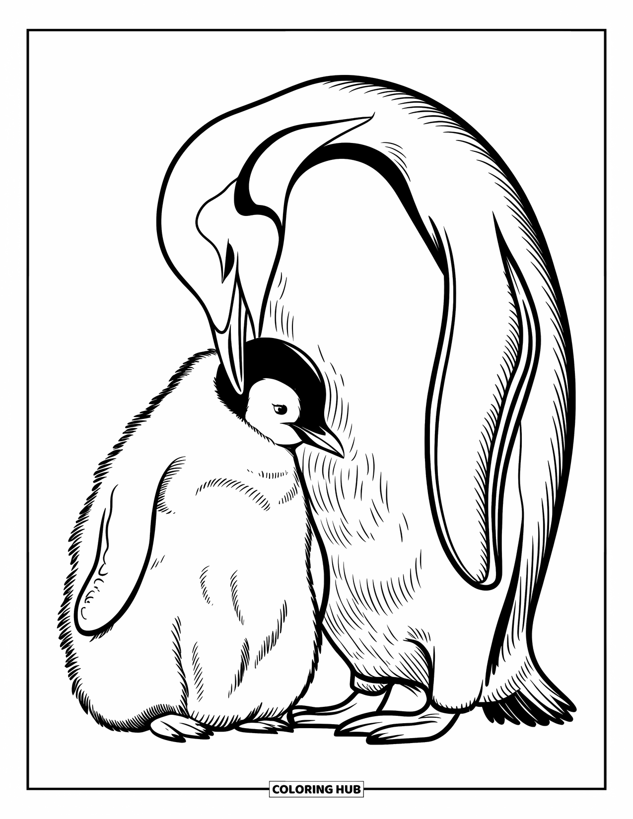 Penguin Coloring Page for Kids: An emperor penguin and its chick nuzzle together in a snowy setting