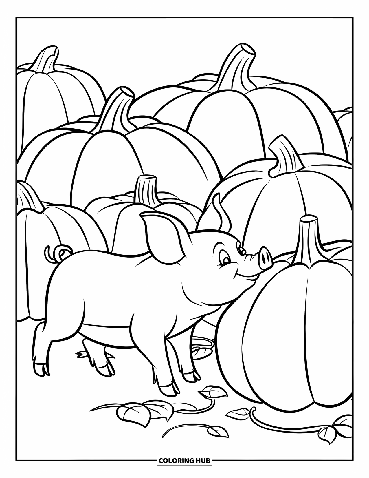 Pig Coloring Page for Kids: A pig sniffs a giant pumpkin in a vine-covered pumpkin patch