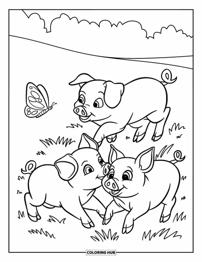 Dibujo de cerdos para colorear para niños: Tres cerditos persiguen felices una mariposa en un campo de hierba amplio y abierto