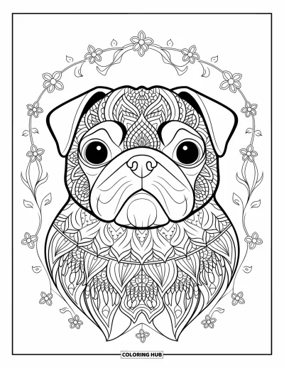 Coloriage de carlin pour adultes : Un visage de carlin magnifiquement modelé avec des détails de mandala est encadré par de délicats motifs floraux