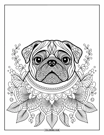 Coloriage de carlin pour adultes : Le visage d’un carlin majestueux présente des motifs de mandala, encadrés par de délicats détails floraux