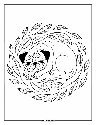 Coloriage de carlin pour adultes : Un carlin paisible se blottit dans un lit tourbillonnant de feuilles à motifs complexes