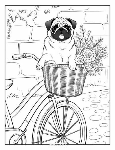 Coloriage de carlin pour adultes : Un carlin se repose dans un panier de vélo sur un chemin pavé, près d’un mur de pierre couvert de verdure