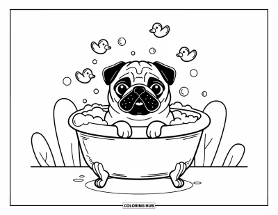 Coloriage de carlin pour adultes : Un carlin est assis dans un bain moussant, reposant ses pattes sur le bord de la baignoire