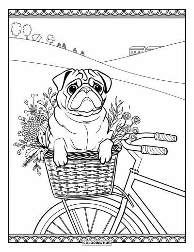 Coloriage de carlin pour adultes : Un carlin détendu se repose dans un panier de vélo rempli de fleurs, avec des collines ondulantes derrière