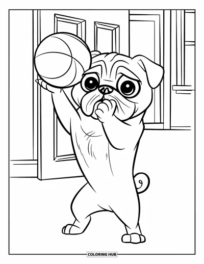 Coloriage de carlin pour enfants : Un carlin charmant se tient sur ses pattes arrière, équilibrant une balle tout en ayant l’air enjoué