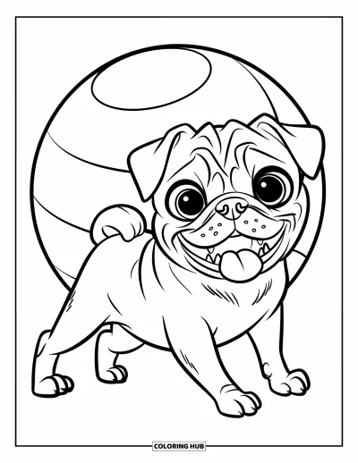 Coloriage de carlin pour enfants : Un carlin heureux avec des oreilles tombantes joue près d’une grosse balle, l’air curieux