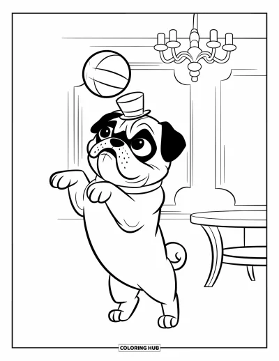 Coloriage de carlin pour enfants : Un carlin enjoué dans un minuscule haut-de-forme équilibre une balle sur son nez dans une pièce chic