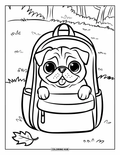 Coloriage de carlin pour enfants : Un carlin enjoué jette un coup d’œil hors d’un sac à dos reposant sur le sol dans une zone herbeuse